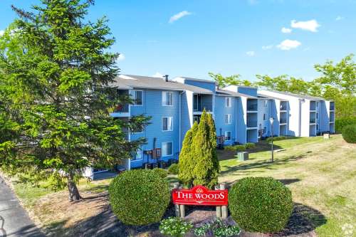 woc (3)LAR4b1774407856.jpg